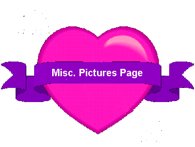 Misc. Page